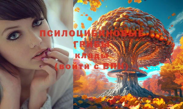 шишки Красноперекопск