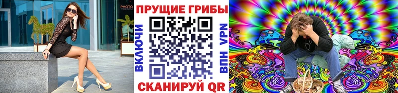 Псилоцибиновые грибы GOLDEN TEACHER Керчь