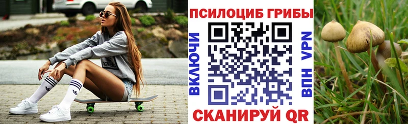 Галлюциногенные грибы мицелий где продают наркотики Керчь