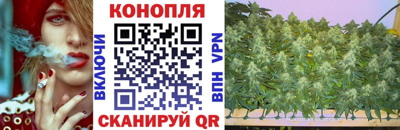 Каннабис сатива  KRAKEN зеркало  Керчь 